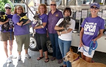 Mobile Volunteers with Dogs